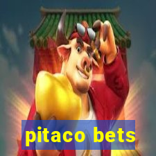 pitaco bets
